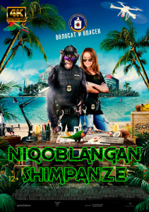 Niqoblangan shimpanze / Niqobdagi shimpanze Uzbek tilida 2021